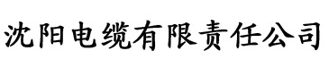 亚洲精品成人久久久电缆厂logo